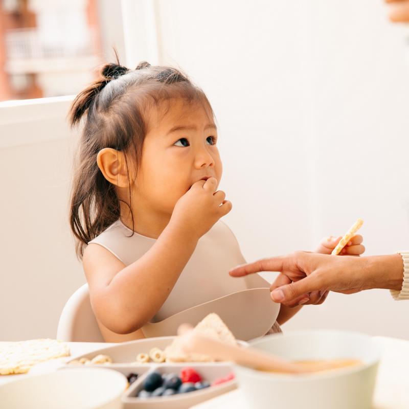 Mess-Free Baby Dining Set